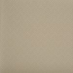 Penrose Hessian (ptc100)